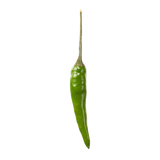 Thai Chili Green Peppers