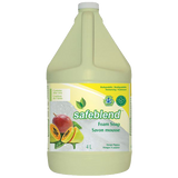 Safeblend Hand & Body Soap (Foam, Mango Papaya Scent, with Aloe Vera), 4L