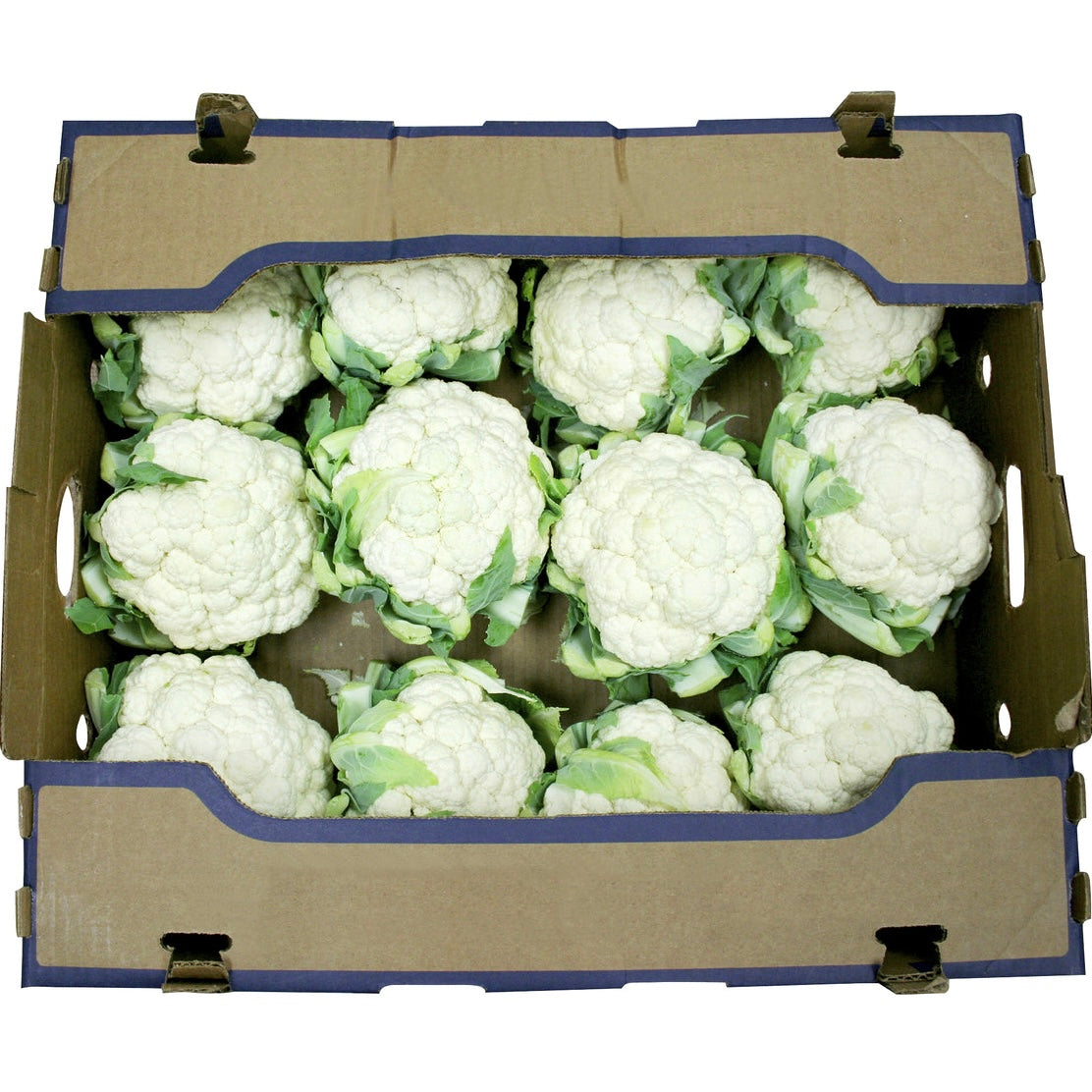 Cauliflower [CASE] - 12 Count