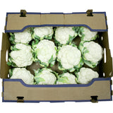 Cauliflower [CASE] - 12 Count