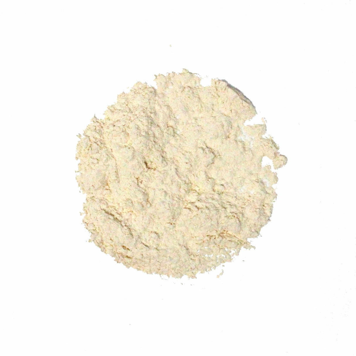 Garlic Powder Premium 100 Mesh
