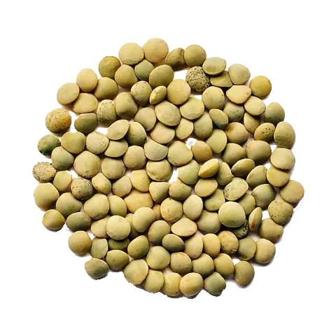 Green Laird Lentils 10kg