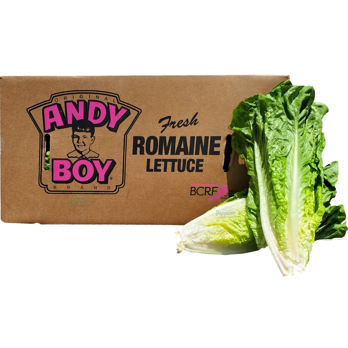 Romaine Premium Lettuce, Unwashed, 24 Count