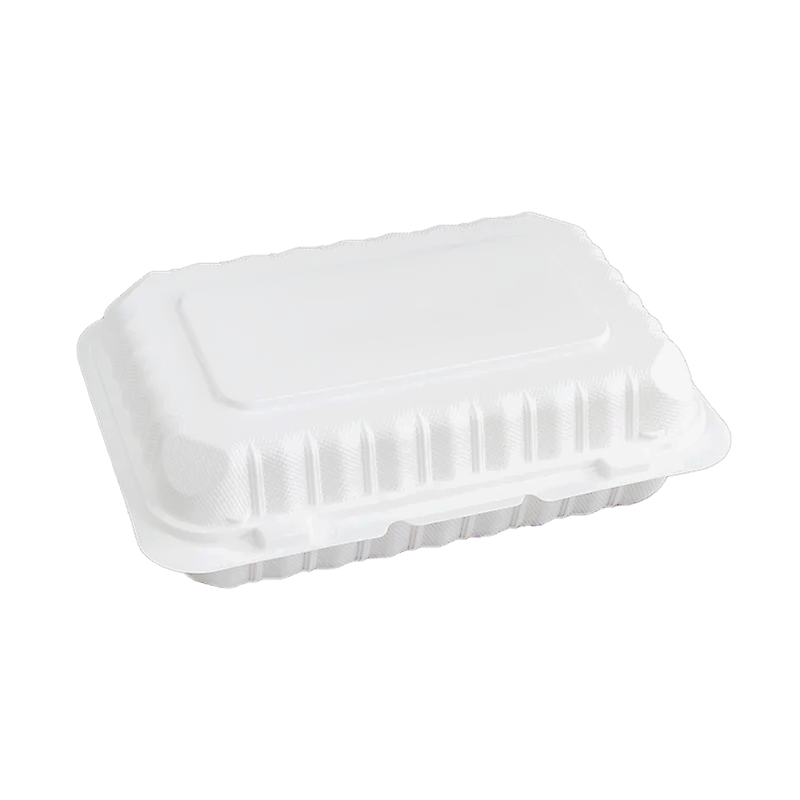 Aybak-96 Hinged PP Take-Out (9 x 6 x 2.5in, Shallow), 150 Count