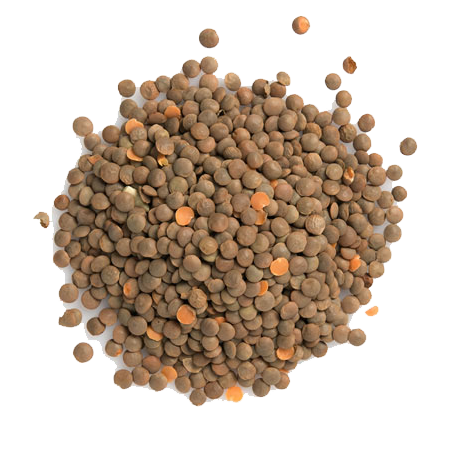 Red Lentils Whole (Masoor Daal)