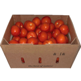 Tomato Beefsteak (Medium, 6 x 6), ~25lb/11kg