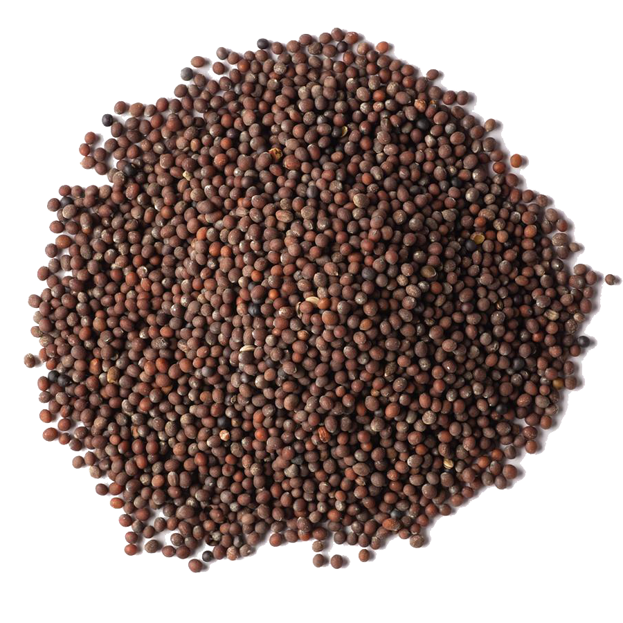 Mustard Seeds, 5lb/2.27kg