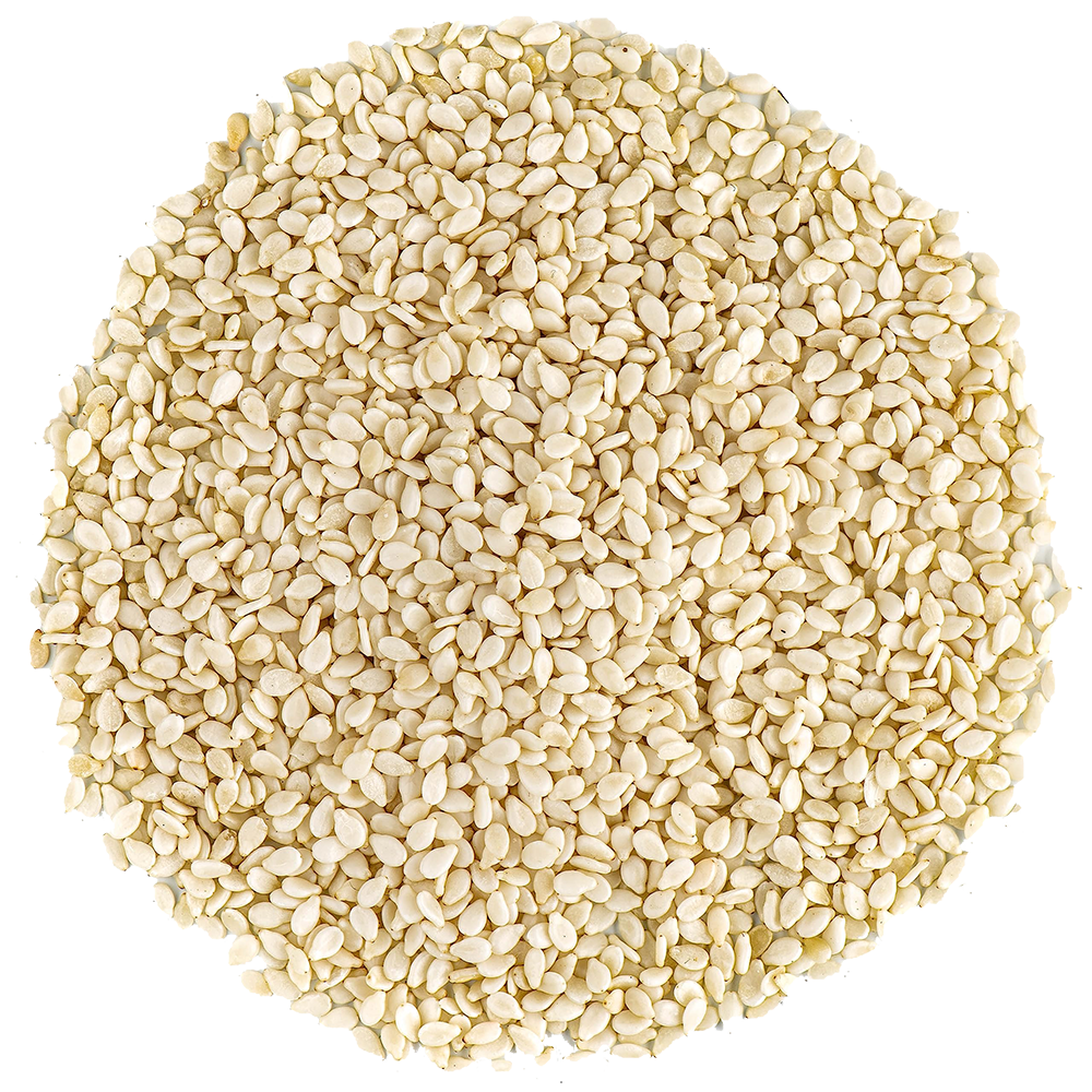 Sesame Seeds (White, Hulled), 10lb/4.54kg