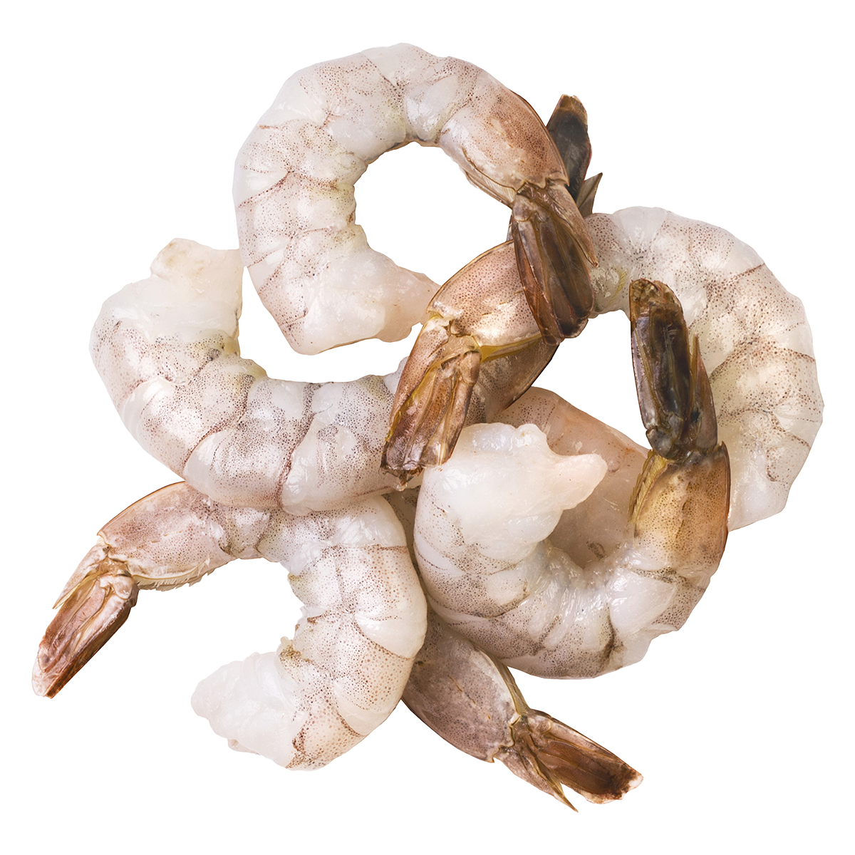 Ocean Jewel Pacific White Shrimp 31-40 Raw P&D Tail-On 4.54kg
