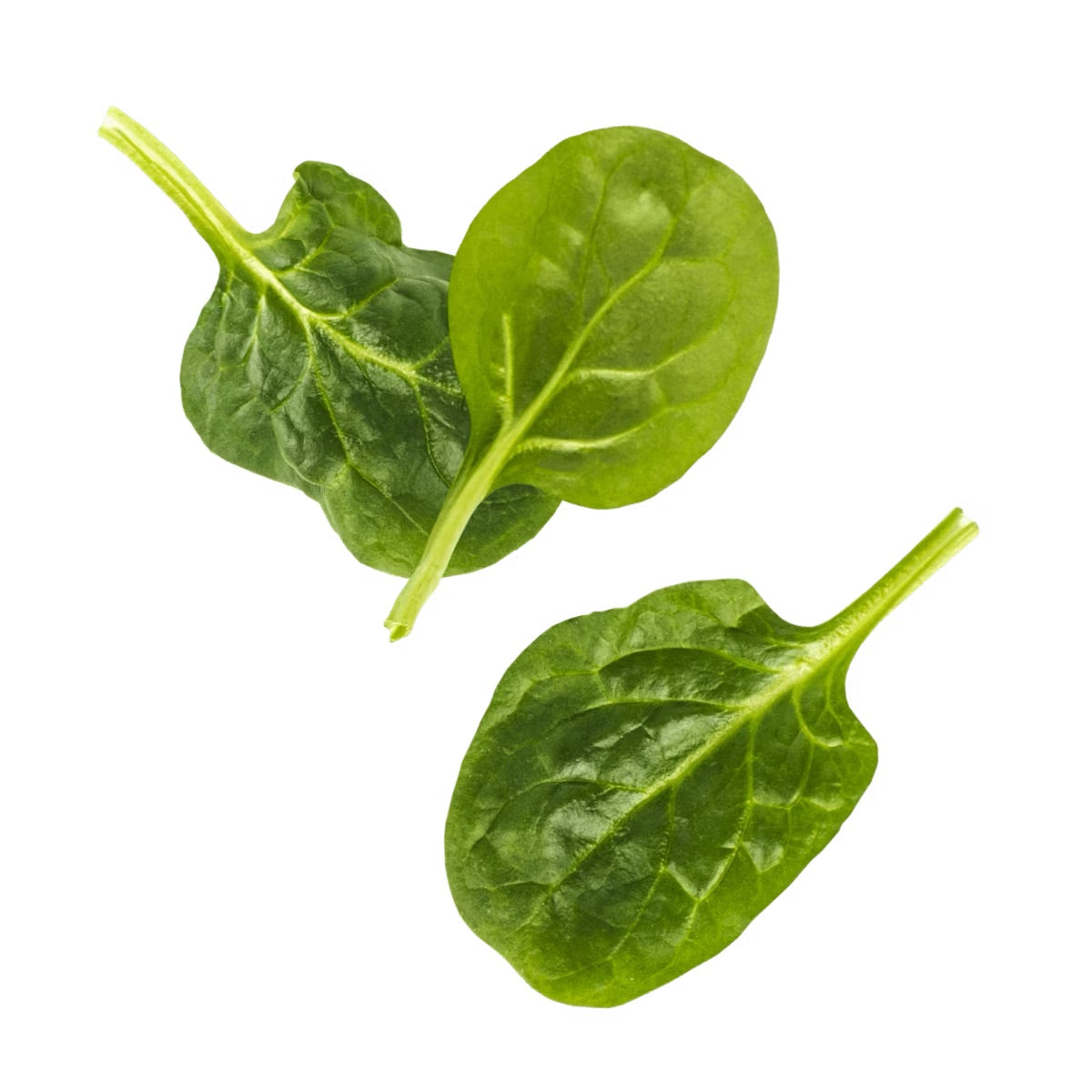 Spinach Baby