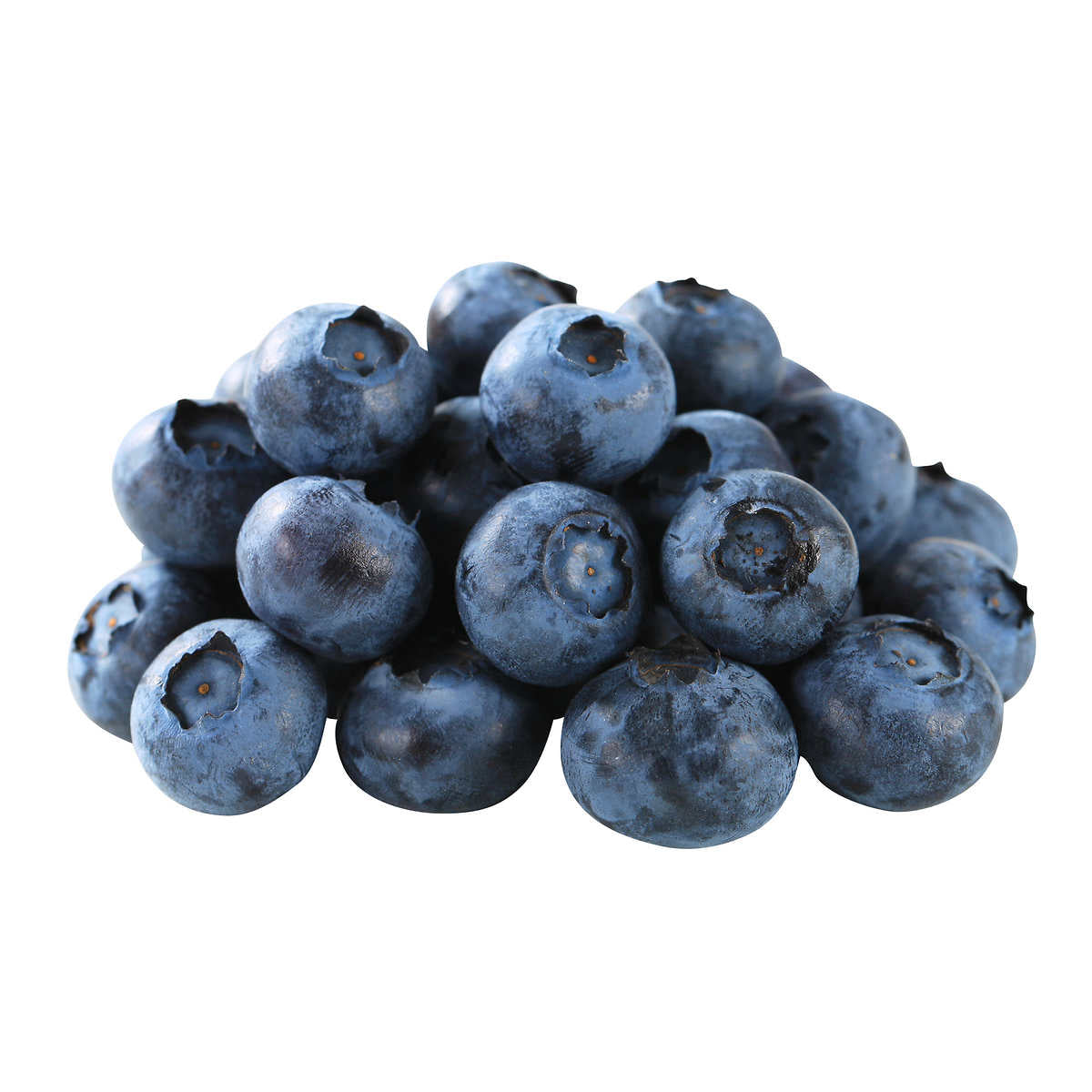 Blueberry