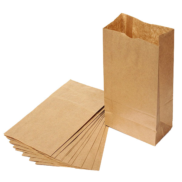 Kraft Paper Bags #12 - 500 Bundle