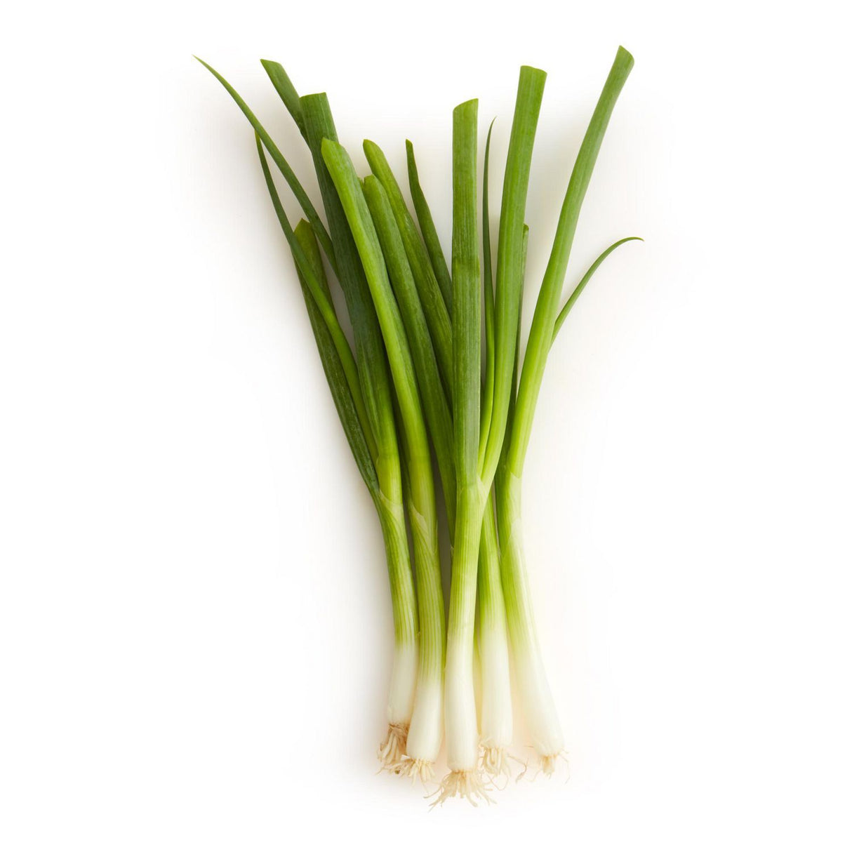 Onions Green (Scallions) [CASE] 48 Count